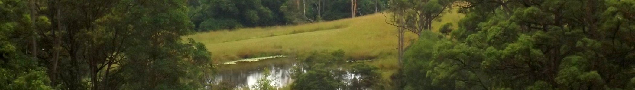 Numinbah Valley Banner