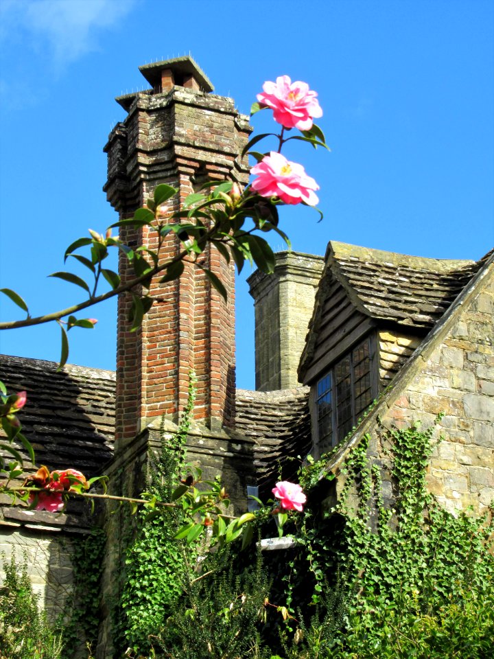 Nymans, March 2020, 7