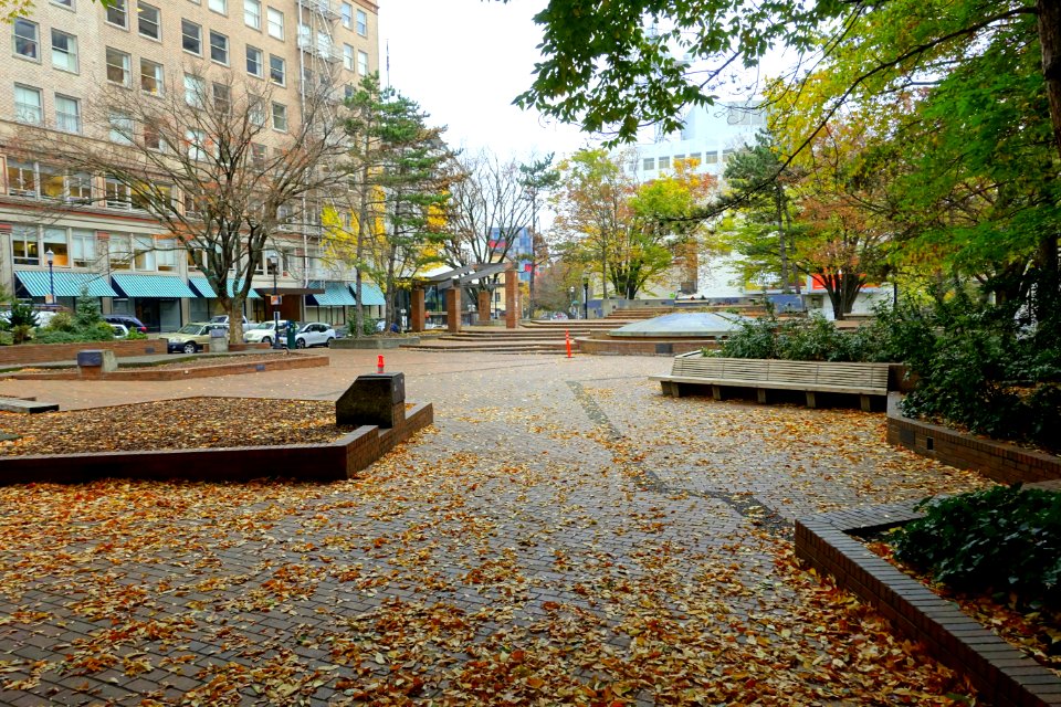 O'Bryant Square - Portland, Oregon - DSC01118