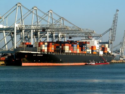 Nyk Canopus, at the Amazone harbour, Port of Rotterdam, Holland 14-Jan-2006