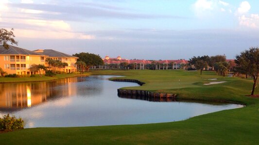 Golf florida green