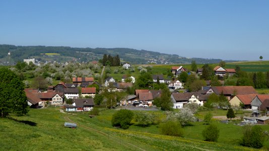 Oberbussnang von Südwest