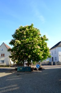 Oberems, Brunnenplatz