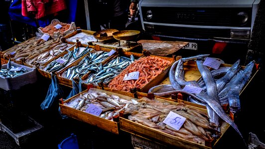 Sale seafood stall photo