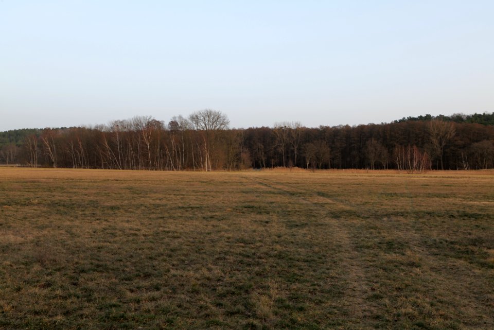 Nuthe-Nieplitz-Niederung 2021-02-24 150