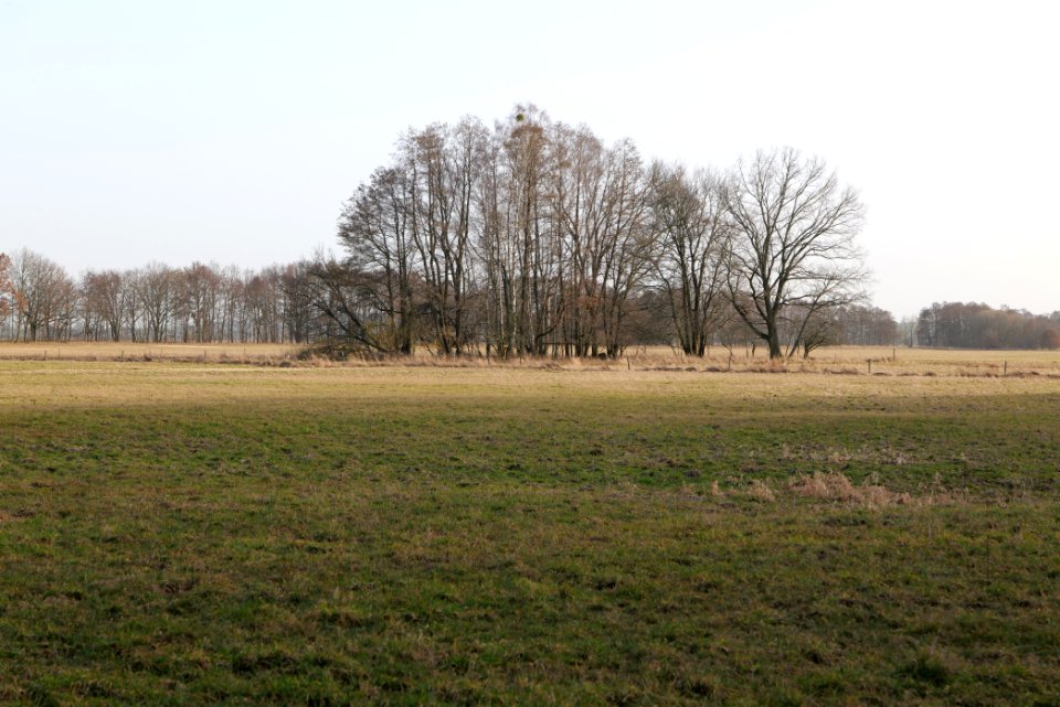 Nuthe-Nieplitz-Niederung 2021-02-24 25