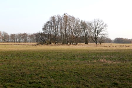 Nuthe-Nieplitz-Niederung 2021-02-24 25