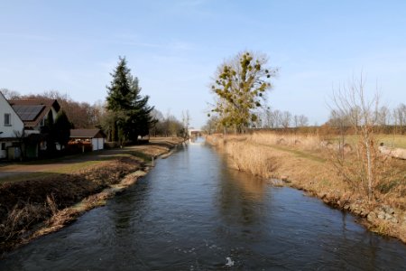 Nuthe in Nuthetal - Beelitzer Sander 2021-02-24 01