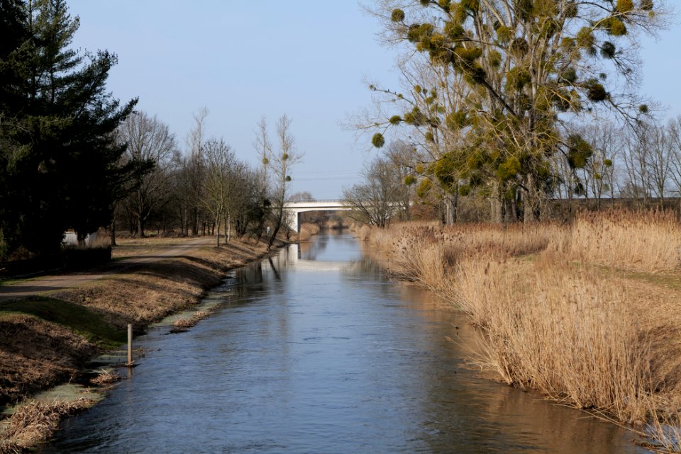 Nuthe in Nuthetal - Beelitzer Sander 2021-02-24 05
