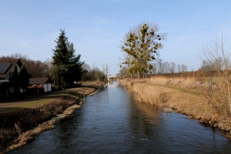 Nuthe in Nuthetal - Beelitzer Sander 2021-02-24 03