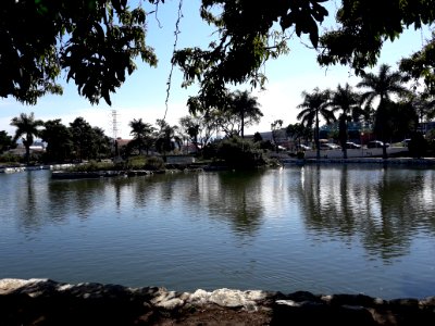 O lago do Horto Municipal Renato Corrêa Penna 1