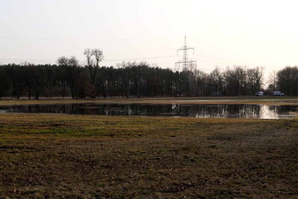Nuthe-Nieplitz-Niederung 2021-02-24 103