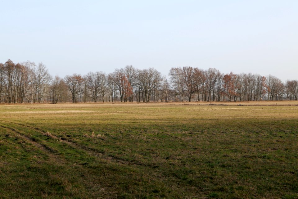 Nuthe-Nieplitz-Niederung 2021-02-24 27