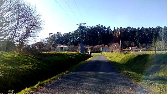 O Camiño Sedes Narón