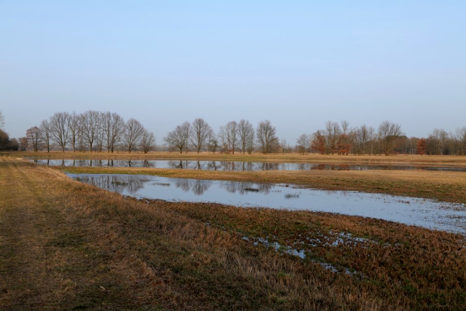 Nuthe-Nieplitz-Niederung 2021-02-24 123