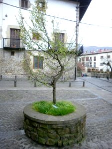 Oñate 04