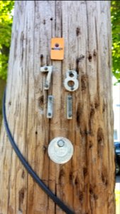 Nynex - Utility pole - Arlington, MA - 20200623 090247