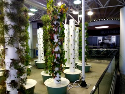 O'Hare Aeroponic Garden