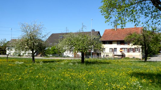 Oberbussnang TG