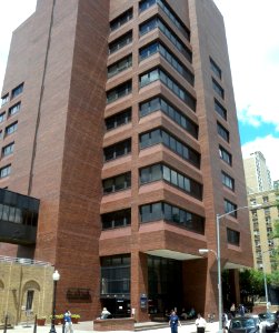 NYS Psy Inst Kolb Research Lab Haven Av jeh