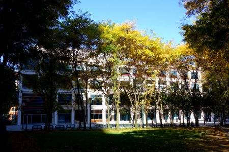 NYU Poly - Brooklyn, NY - DSC07632