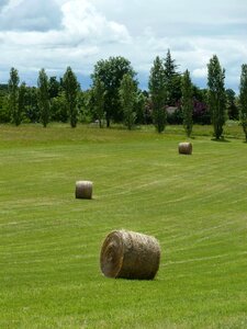 Landscape hay bales grass photo
