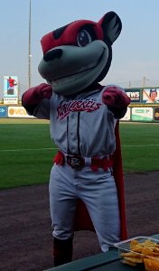 Nutzy - Flying Squirrels mascot