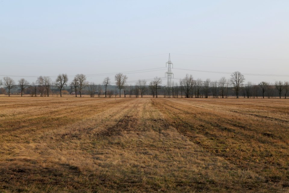Nuthe-Nieplitz-Niederung 2021-02-24 101