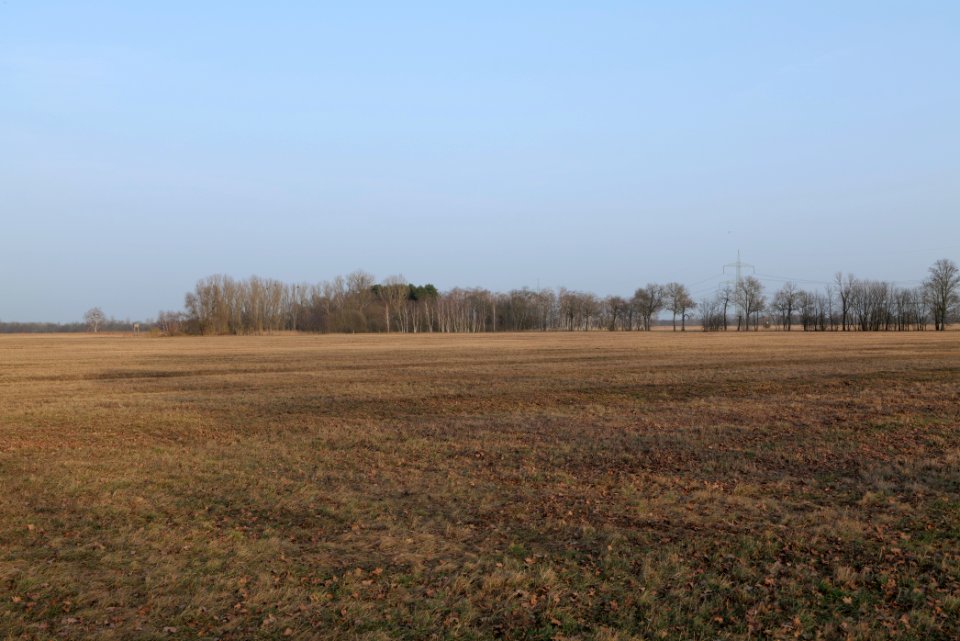 Nuthe-Nieplitz-Niederung 2021-02-24 102