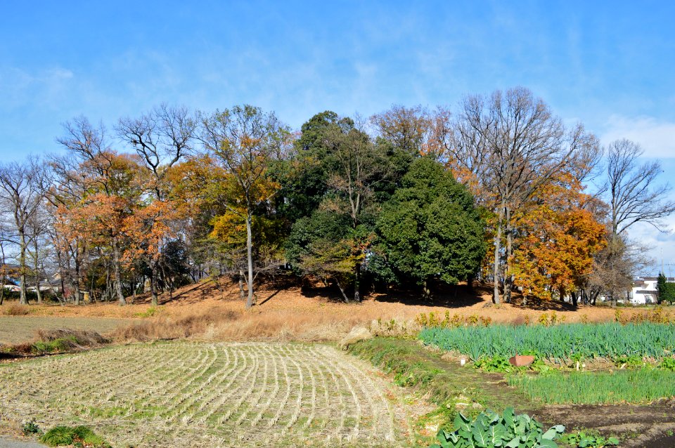 Nyotaiyama-kofun zenkei