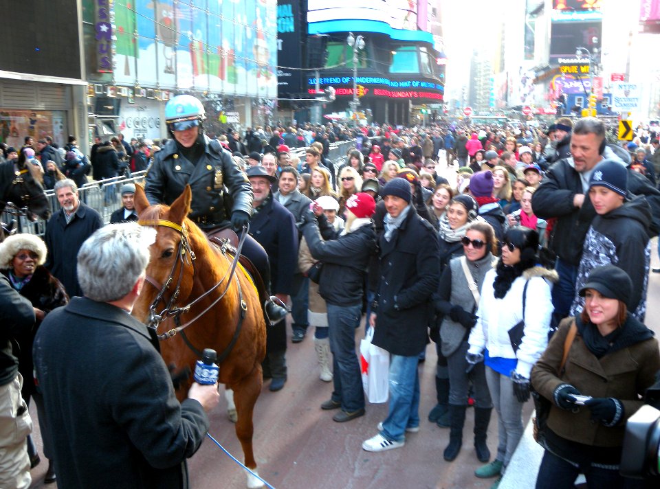 NYPD horse TSQ jeh