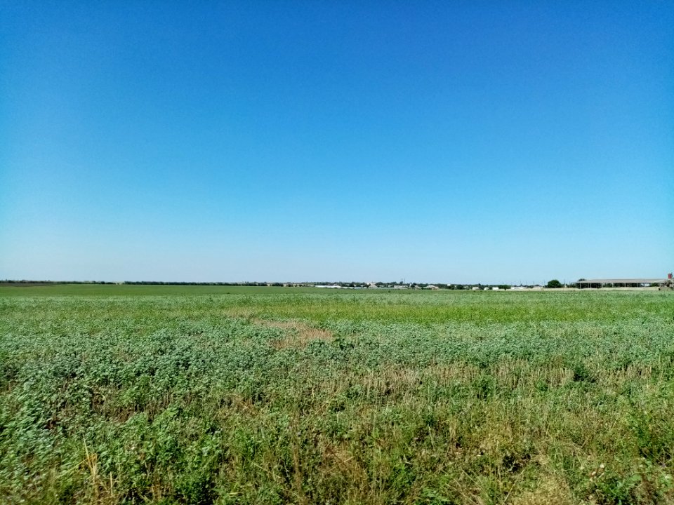 OktyabrskoePer 5