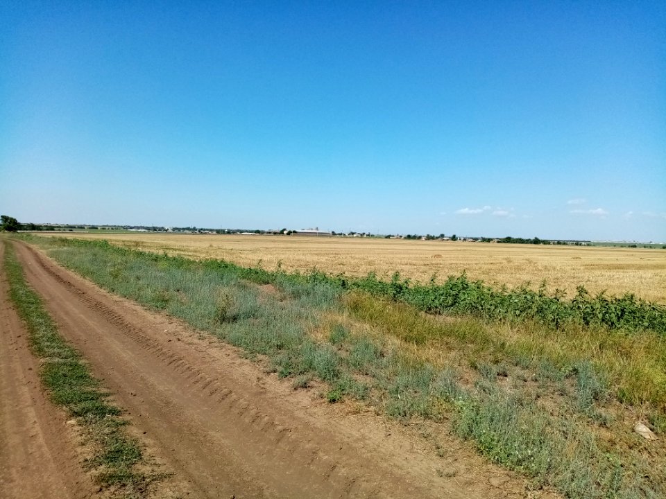 OktyabrskoePer 4