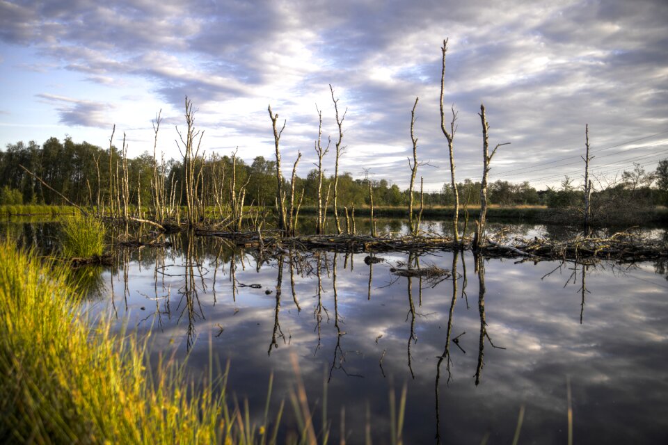 Water landscape nature