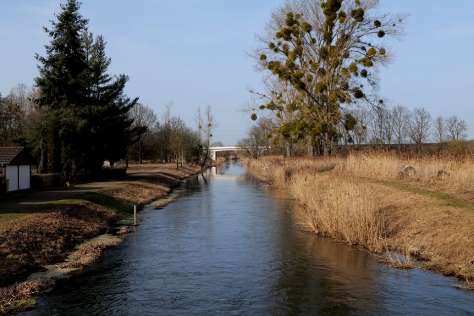 Nuthe in Nuthetal - Beelitzer Sander 2021-02-24 04