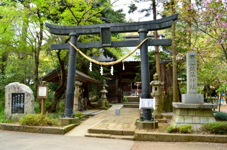Okoto-jinja torii