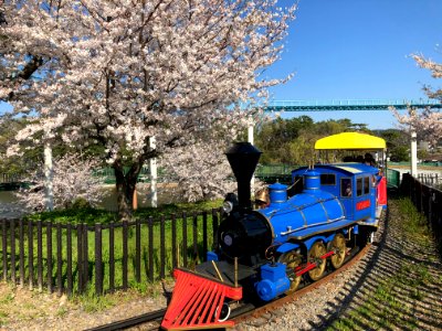 Okazaki-Minami-Park-4