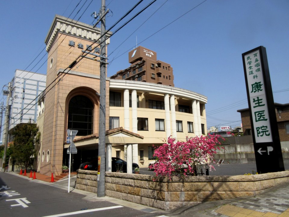 Okazaki-Koseidori-Minami-1