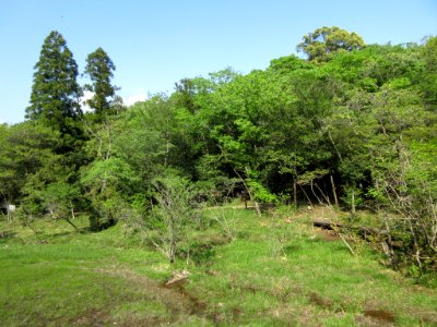 Okazaki-Kitayama-Shitchi-5