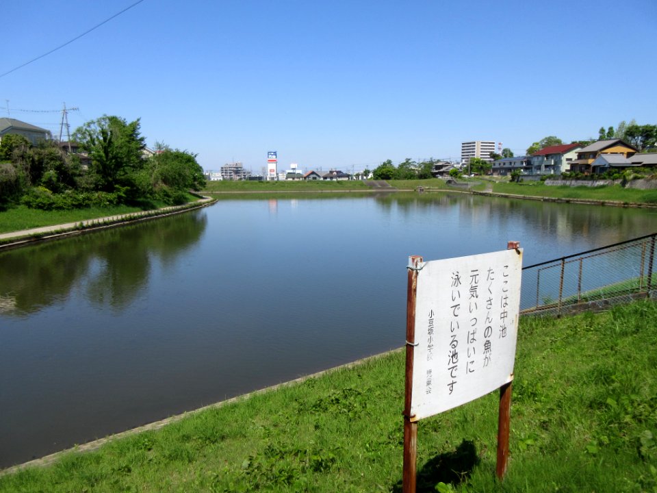 Okazaki-Nakaike-1