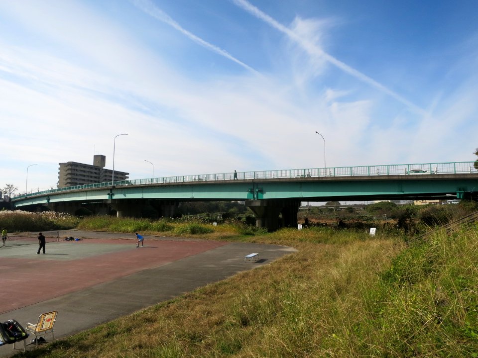 Okazaki-Myojinbashi-4381