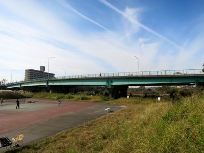 Okazaki-Myojinbashi-4381