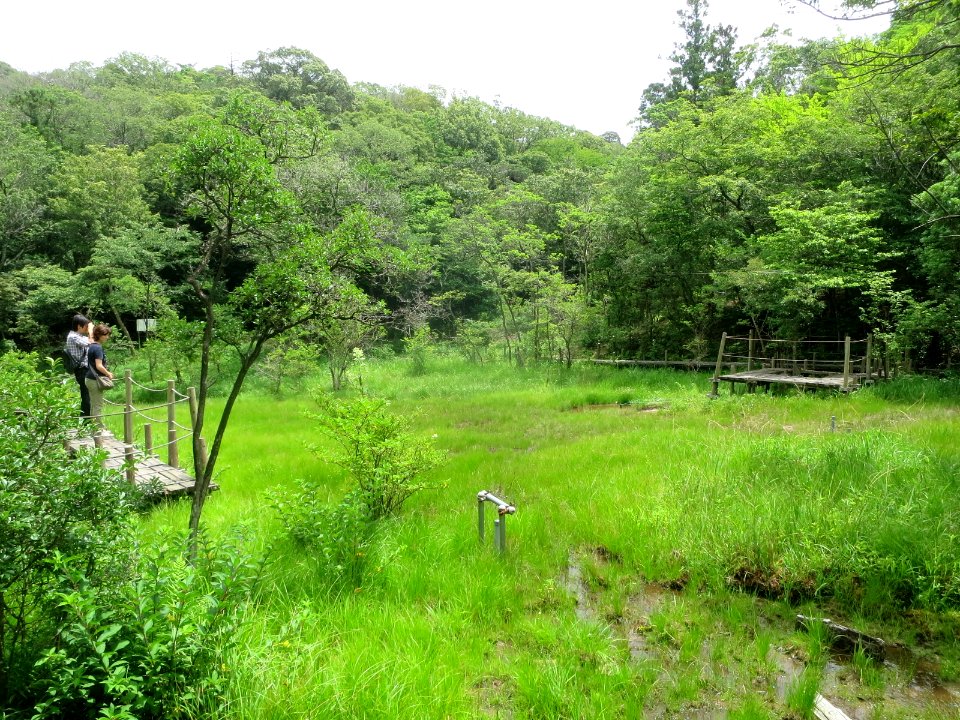 Okazaki-Kitayama-Shitchi-1