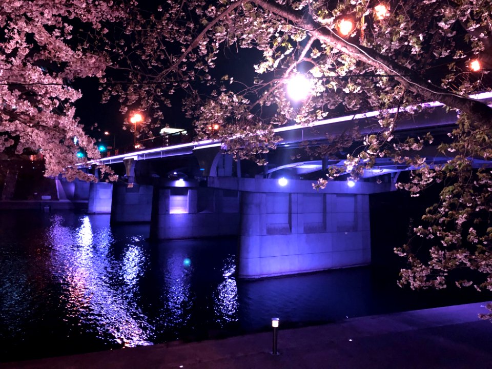 Okazaki-Myodaibashi-4