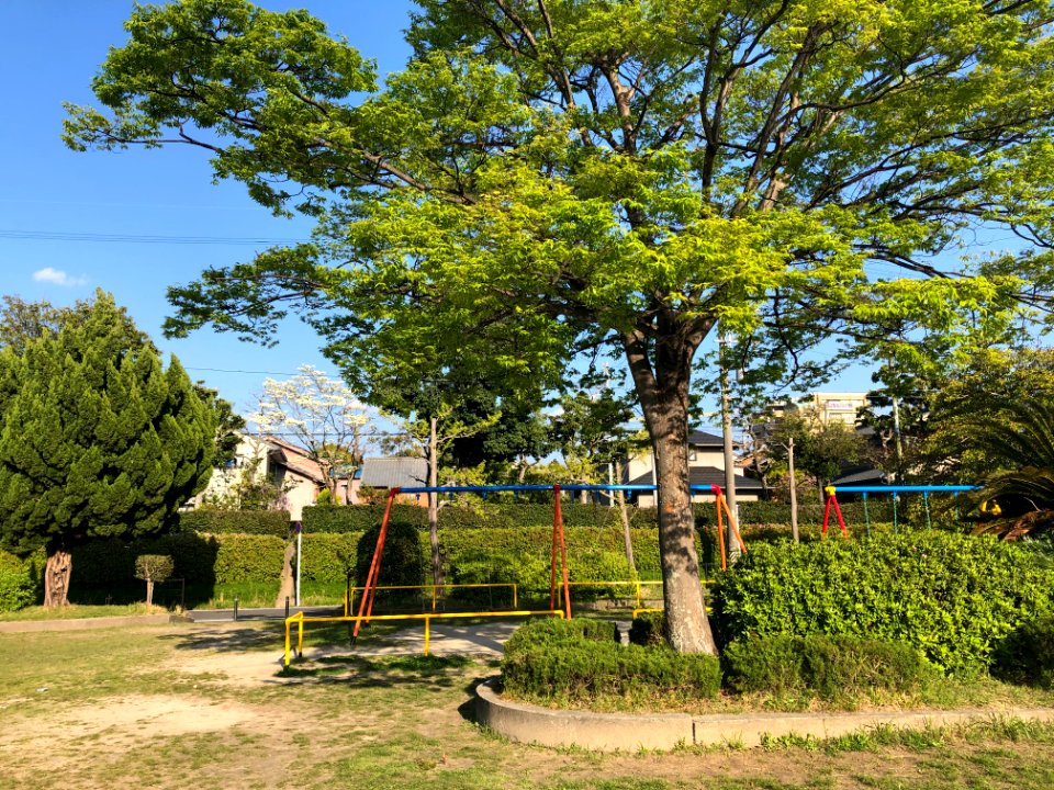 Okazaki-Hirohata-Park-1