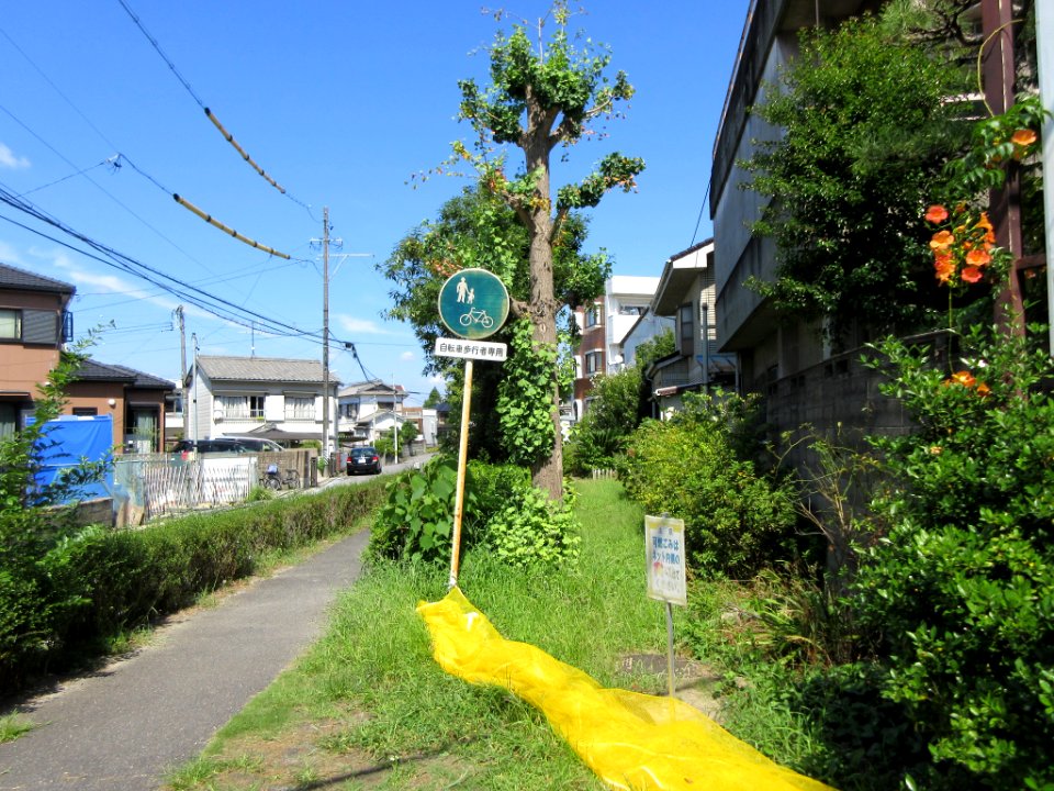 Okazaki-Kakitacho-1
