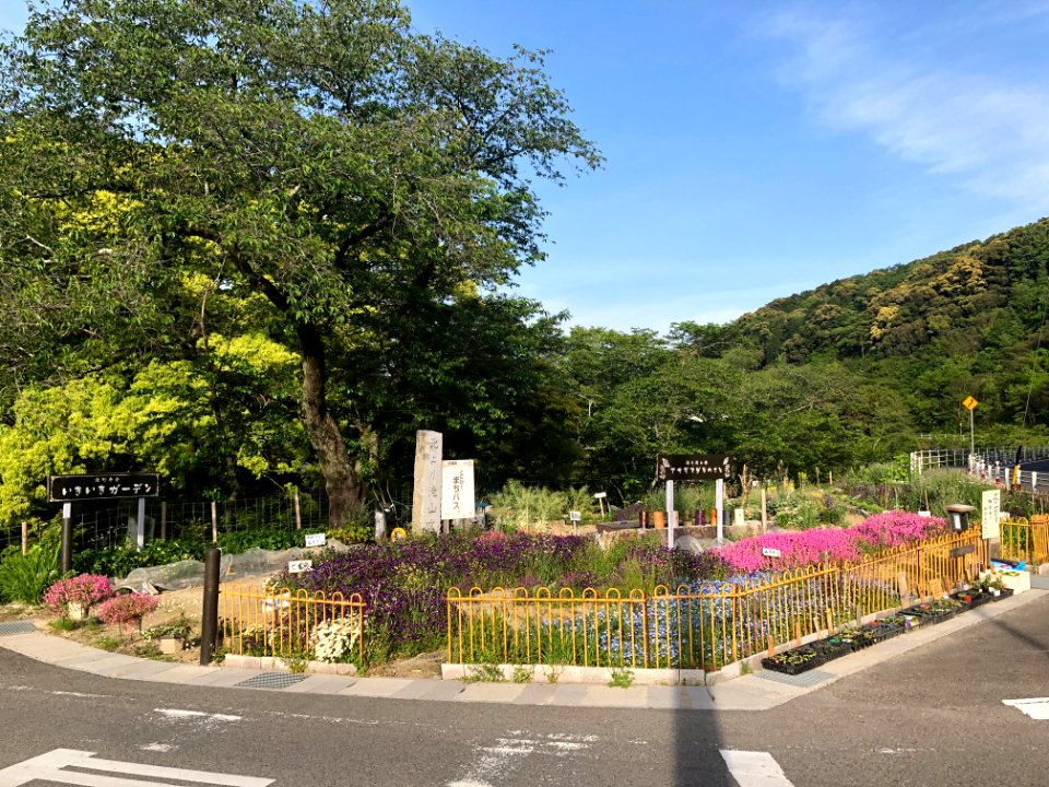 Okazaki-Ikiiki-Garden-1