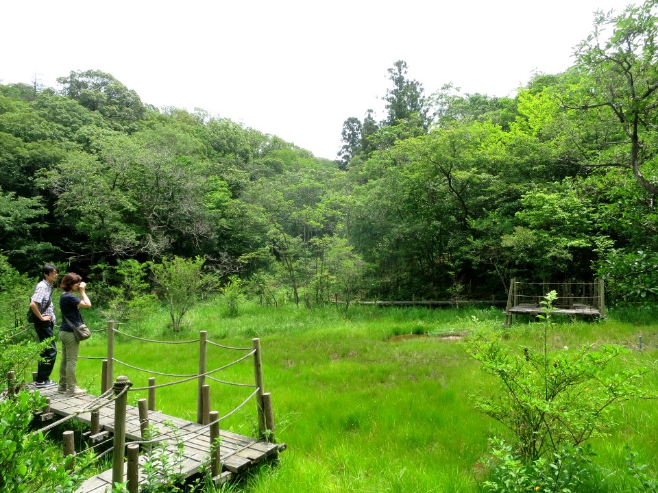 Okazaki-Kitayama-Shitchi-4