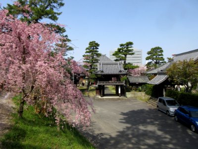 Okazaki-Manshoji-3