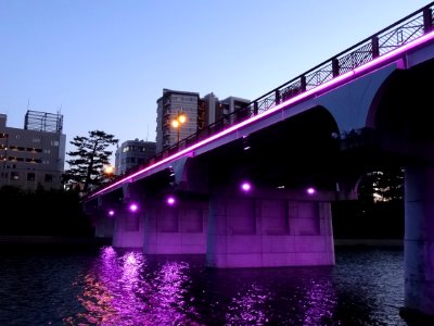 Okazaki-Myodaibashi-1100